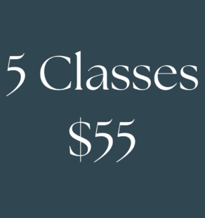5 Classes for $55